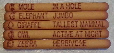 Yam Yam Sticks - Animal descriptions